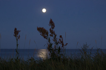Mondschein spiegelt sich nachts auf dem Meer in Langeland, Dänemark, Ostsee - Moonlight reflected at night on the sea in Langeland, Denmark, Baltic Sea
