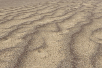 Sand am Strand von Wind wellenförmig gestaltet - Sand on the beach wavy shaped by wind