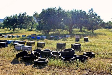 Fototapete bei efototapeten.de bestellen   