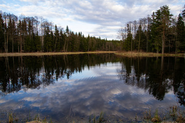 Fototapeta na wymiar A photo of a small lake in the middle of the forest.