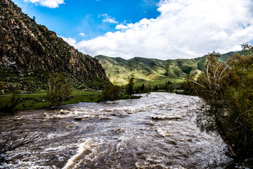 Beautiful Katun river in Altai in spring