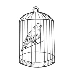 Canary bird in cage with open door engraving vector illustration. Scratch board style imitation. Hand drawn image.
