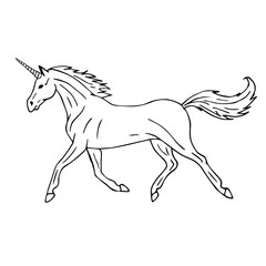 Fototapeta na wymiar Vector hand drawn doodle sketch unicorn isolated on white background 