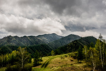 Beautiful spring landscape in Altai 