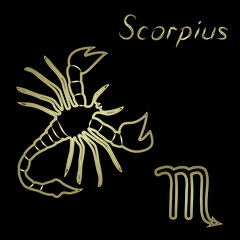 Fototapeta na wymiar Scorpius zodiac sign vector illustration on black background. Golden figure of horoscope symbols