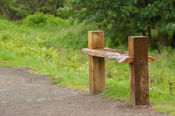 wooden park bench on a rainy day