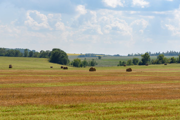 Rolls of hay on a huge field