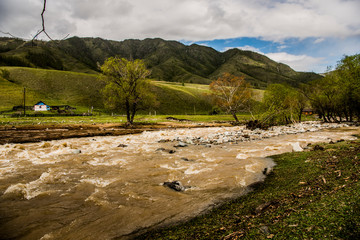 Beautiful Katun river in Altai in spring