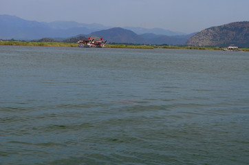 Obraz premium Dalyan River where the Caretta-Caretta turtles live