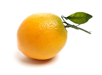 Orange fruit on the white background