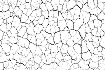 The cracks texture white and black. Vector background.Cracked earth. Structure of cracking. Cracks in dry surface soil texture. shards