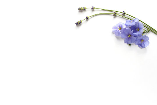 sprigs of lavender and decorative linen on a white background top view. purple flower arrangement