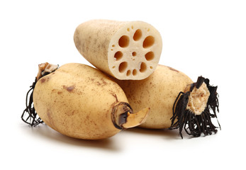Lotus root on the white background