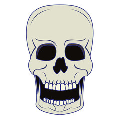 Skull human skeleton cartoon isolated symbol blue lines
