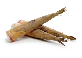 Bamboo shoot on the white background 