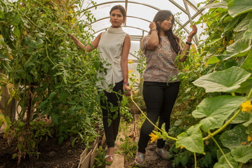 attractive Indian girls posing in garden in greenhouse with tomatoes and vegetables..Closeup...
