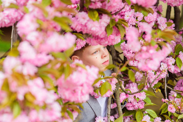 Confident stylish child enjoy warm spring day. Boy fashionable teen posing near sakura. Child pink flowers of sakura tree background. Guy enjoying cherry blossom sakura. Sakura garden concept