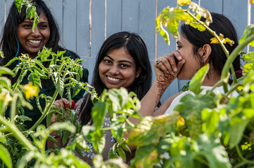 attractive Indian girls posing in garden in greenhouse with tomatoes and vegetables..Closeup...