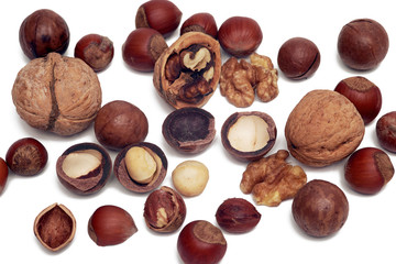 Hazelnuts, walnuts, macadamia nuts on white background, isolated, closeup