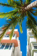 Fototapeta premium Detail close-up of typical colorful Art Deco architecture with tropical palm tree on Ocean Drive in South Beach, Miami, Florida