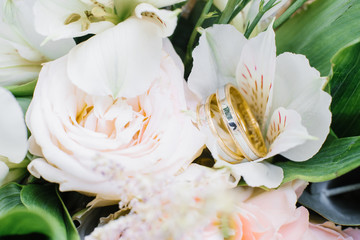 white and yellow gold wedding rings on white flowers, close up, copy space