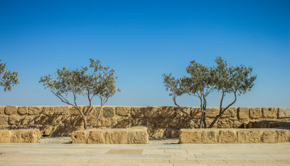 Middle East park outdoor decoration exterior space for walking and promenade with small trees along stone fence frame, symmetry photography on blue sky background with empty copy space for text