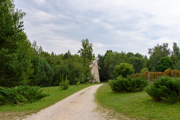 Road in the forest leading to the windmill