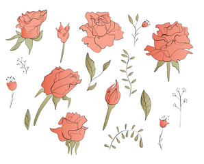 Set with different stylized roses