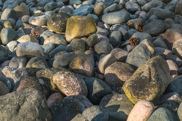 background of large pebbles. Stone texture