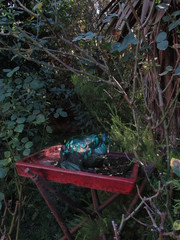 Frog garden sculpture sitting behind a lush tree