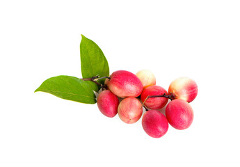 Carissa carandas Linn,Karanda, Carunda with leaves isolated on white background