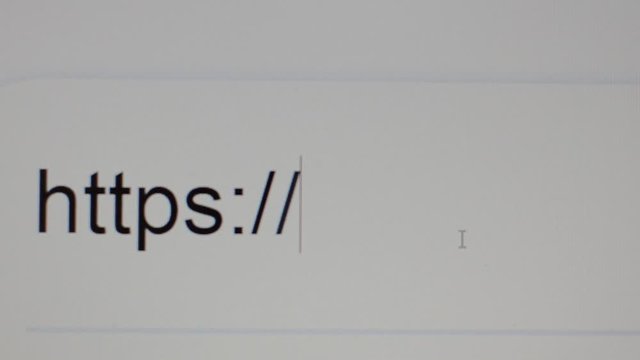 Enter text in the address bar