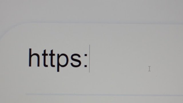 Enter text in the address bar