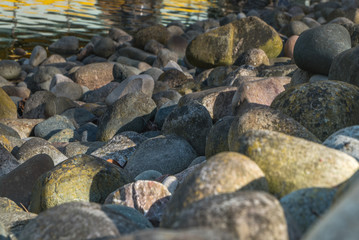 Fototapeta na wymiar gray stones on the background of the pond.