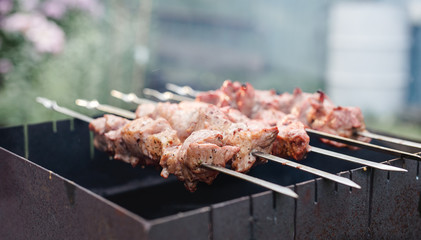 Grill meat in mangal