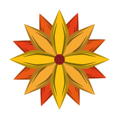 Beautiful flower nature cartoon isolated