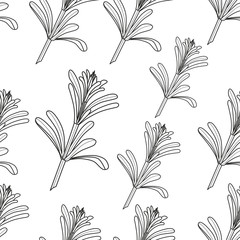 contour leaves pattern on white background
