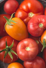 Still life of ripe, juicy, colorful tomatoes