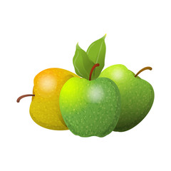 Vector cartoon element for design. Three delicious apples with stem and leaves, fruit design. Photo Realistic illustration of healthy vegetarian food. Perfect for grocery store, drinks and more