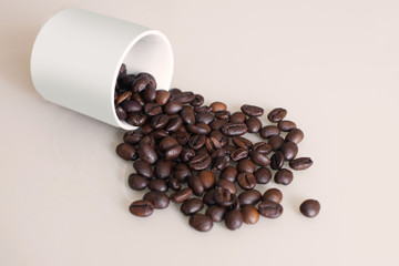 Brown arabica coffee beans with cup on light background.