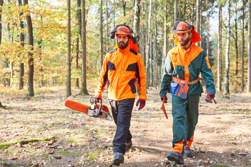 Holzfäller mit Motorsäge und Schutzkleidung im Wald