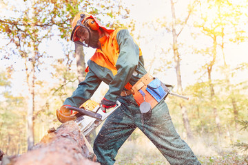 Arbeitsschutz bei Holzfäller mit Motorsäge