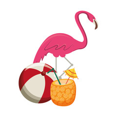 summer beach and vacation cartoons