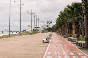 Fototapeta na wymiar Bicycle path between green palms on the embankment of Batumi