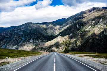 Beautiful Altai road in spring