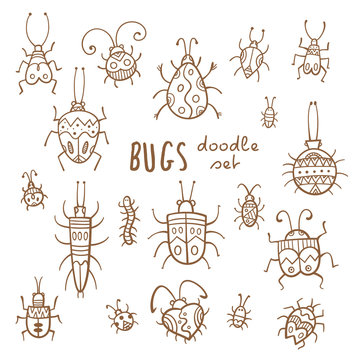 Cartoon bugs set. Different species of beetles.  Funny insects collection. Doodle style. Vector contour image no fill.