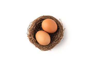 egg in bird's nest on isolated white background