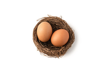 egg in bird's nest on isolated white background