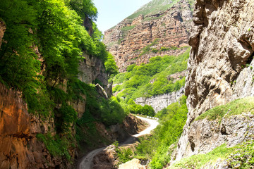 The road to the green forest landscape in the early morning