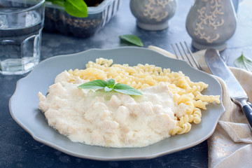 Fricassee, chicken meat in a creamy sauce, with pasta, horizontal